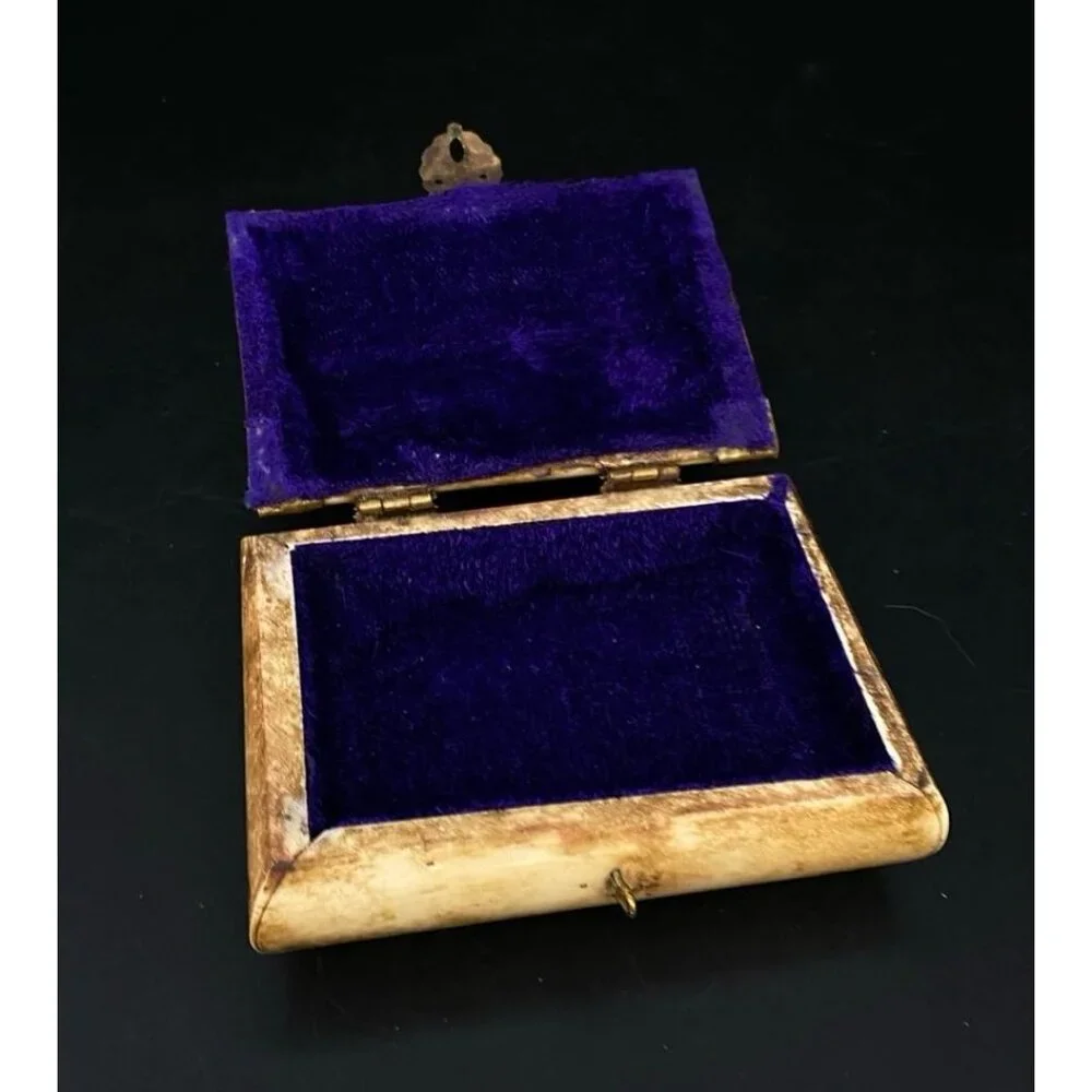 Camel Bone Treasure Chest Jewelry Trinket Box Brass Velvet Lined 3”x2